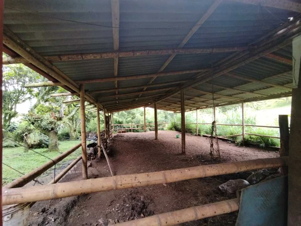 Finca en Arriendo en Belvedere la Madera