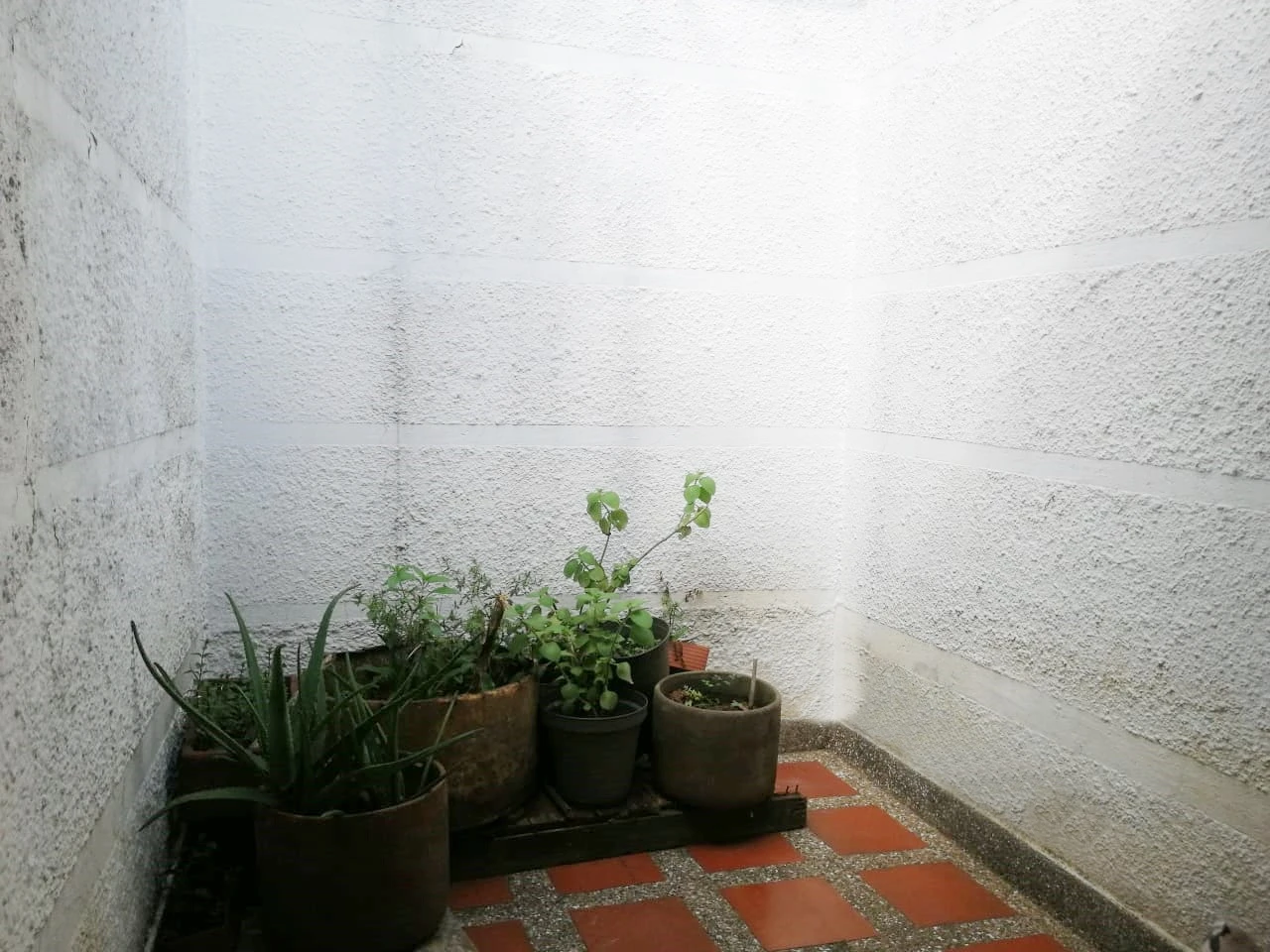 Apartamento en venta sector la Castellana 