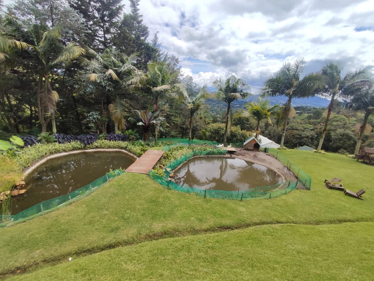finca en arriendo y venta en Fizzebad