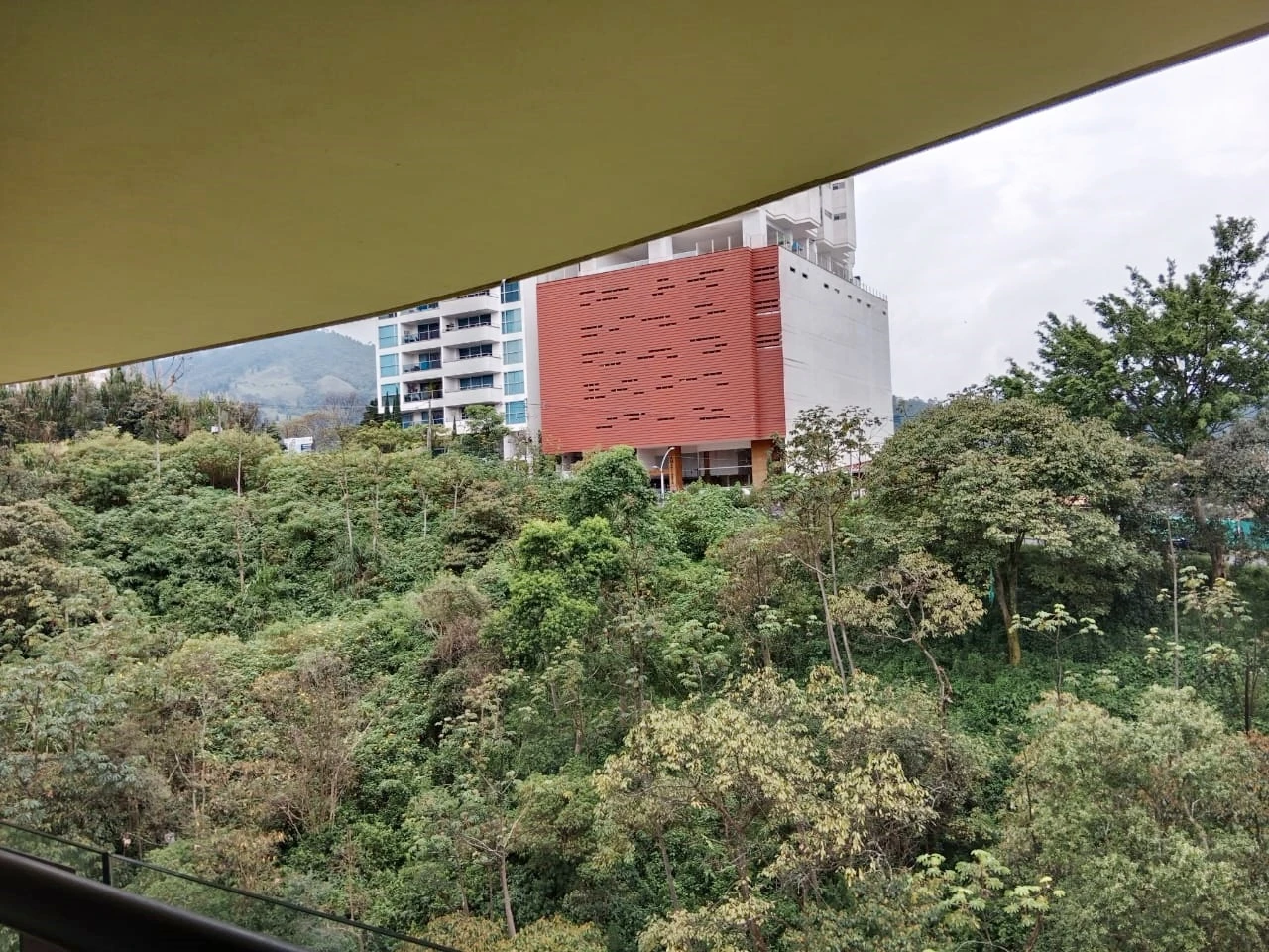 ARRIENDO APARTAMENTO