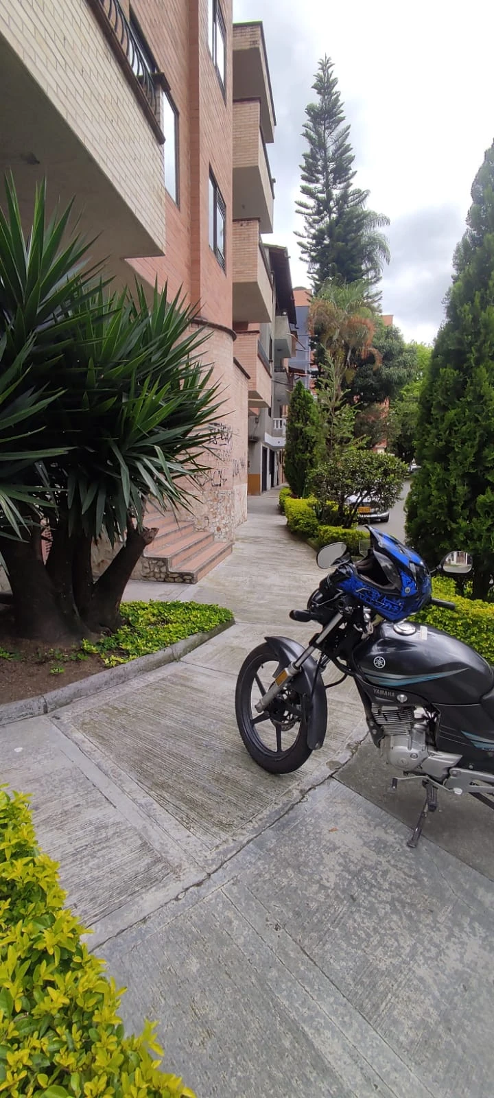 Local en Arriendo Envigado