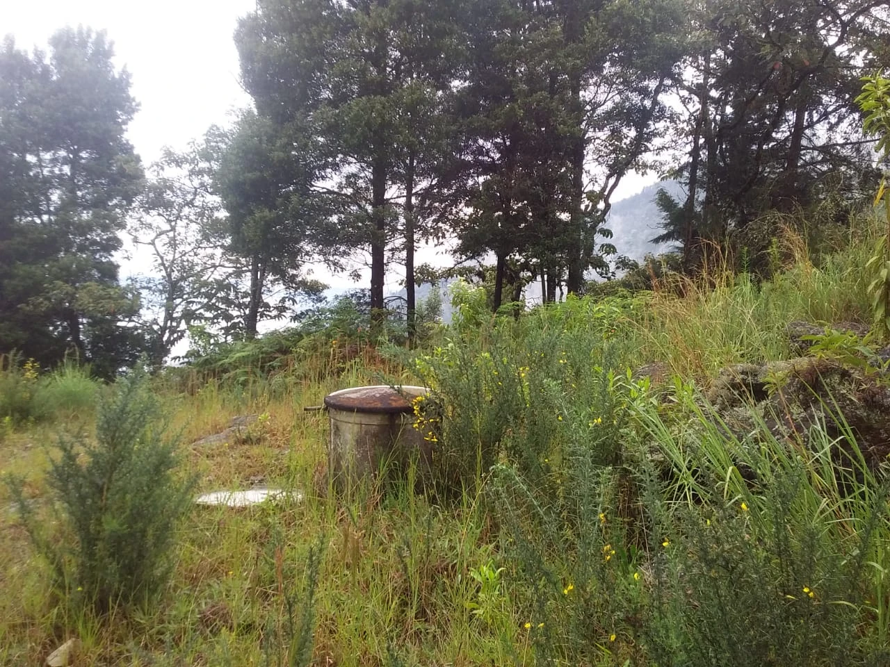 Lote
