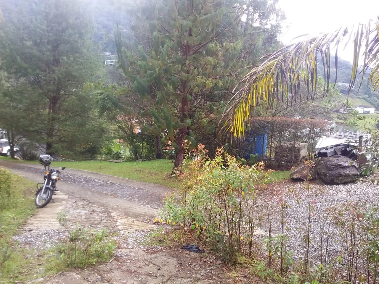 Lote