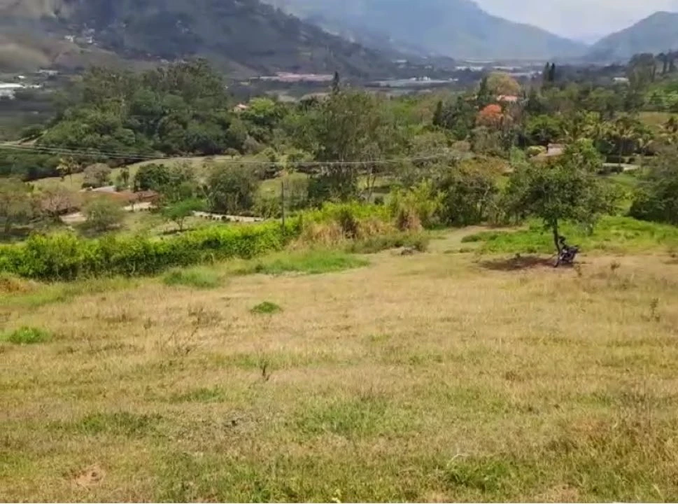 Lote en venta el totumo