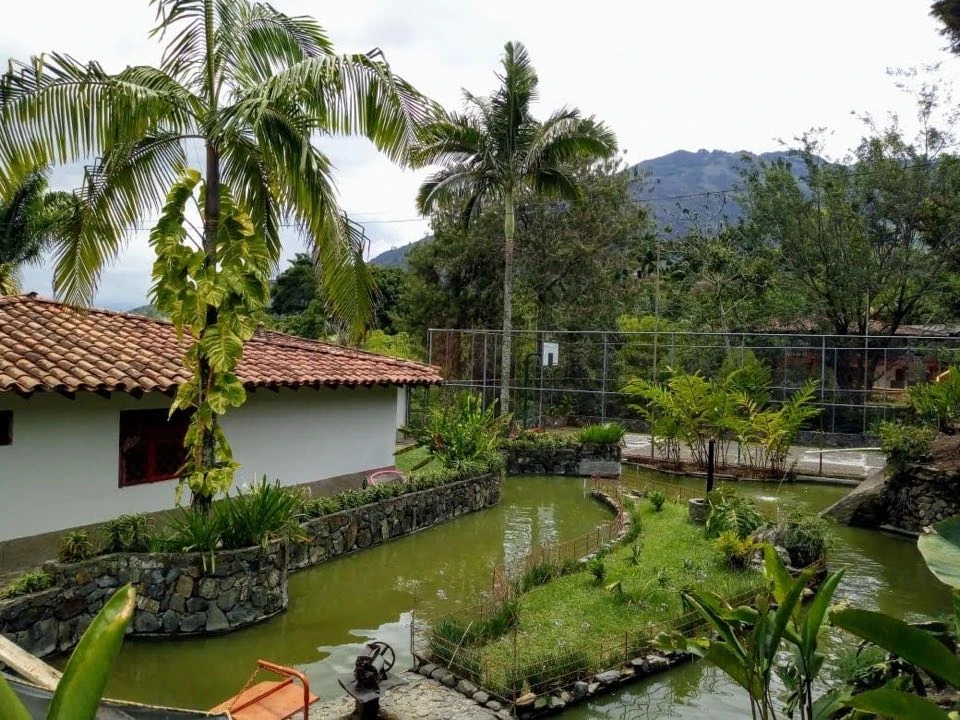 Finca en venta sector limonar