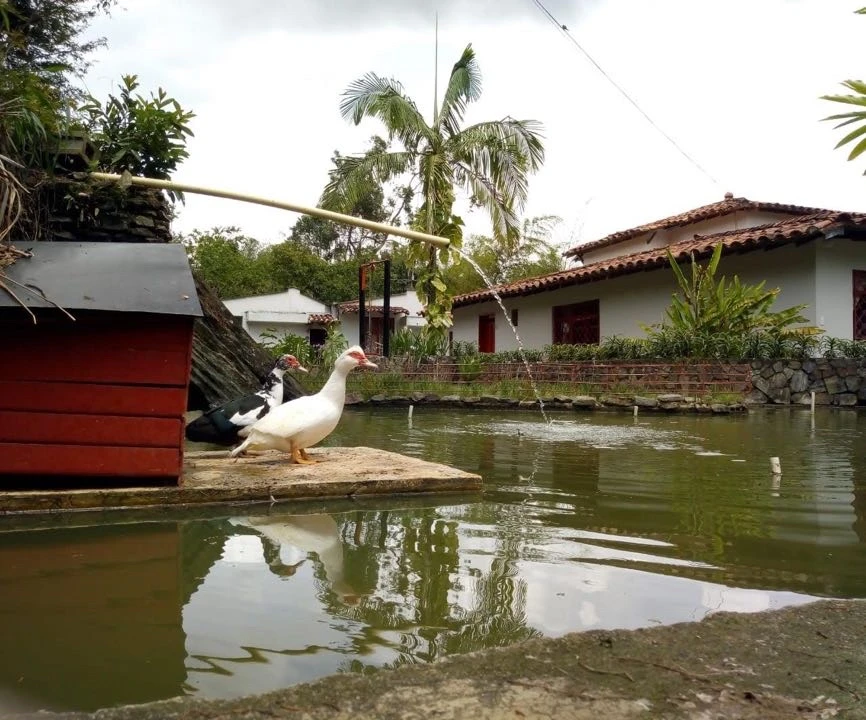 Finca en venta sector limonar