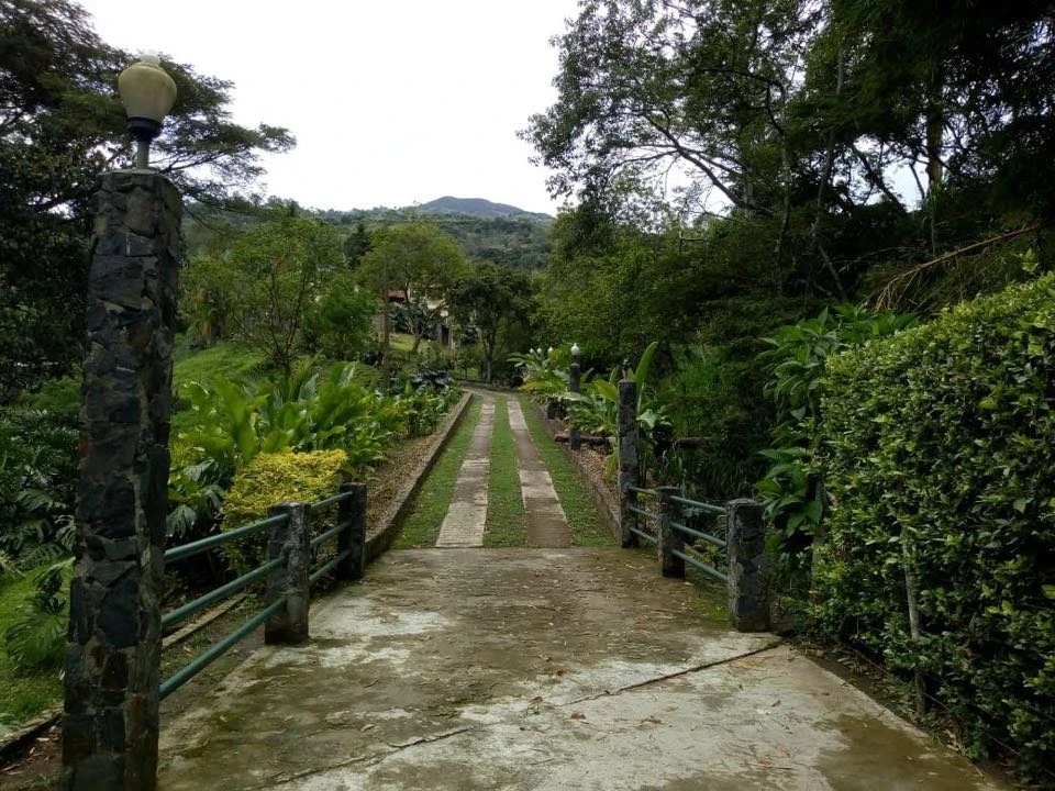 Finca en venta sector limonar