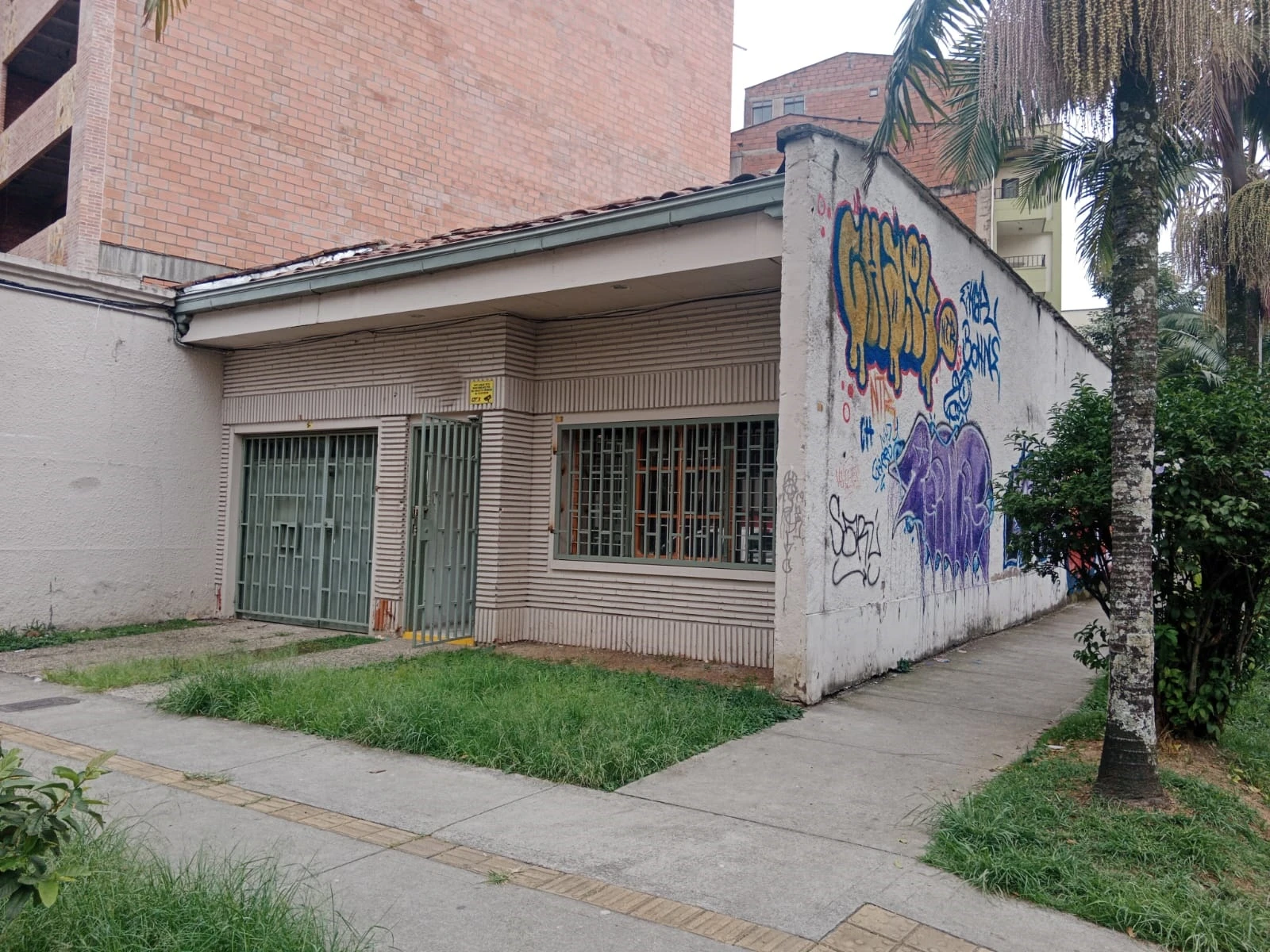 BODEGA LOCAL ESTADIO 
