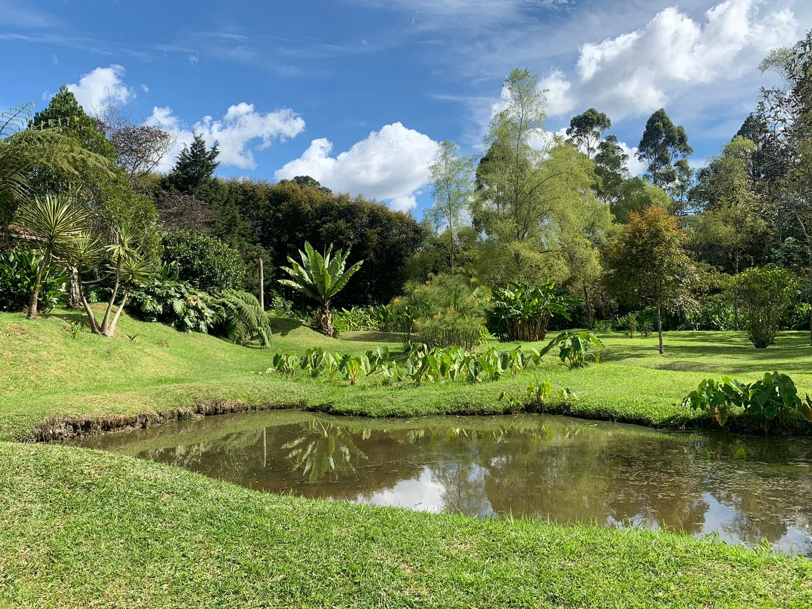 Finca en venta en vereda en chuscal- don diego 