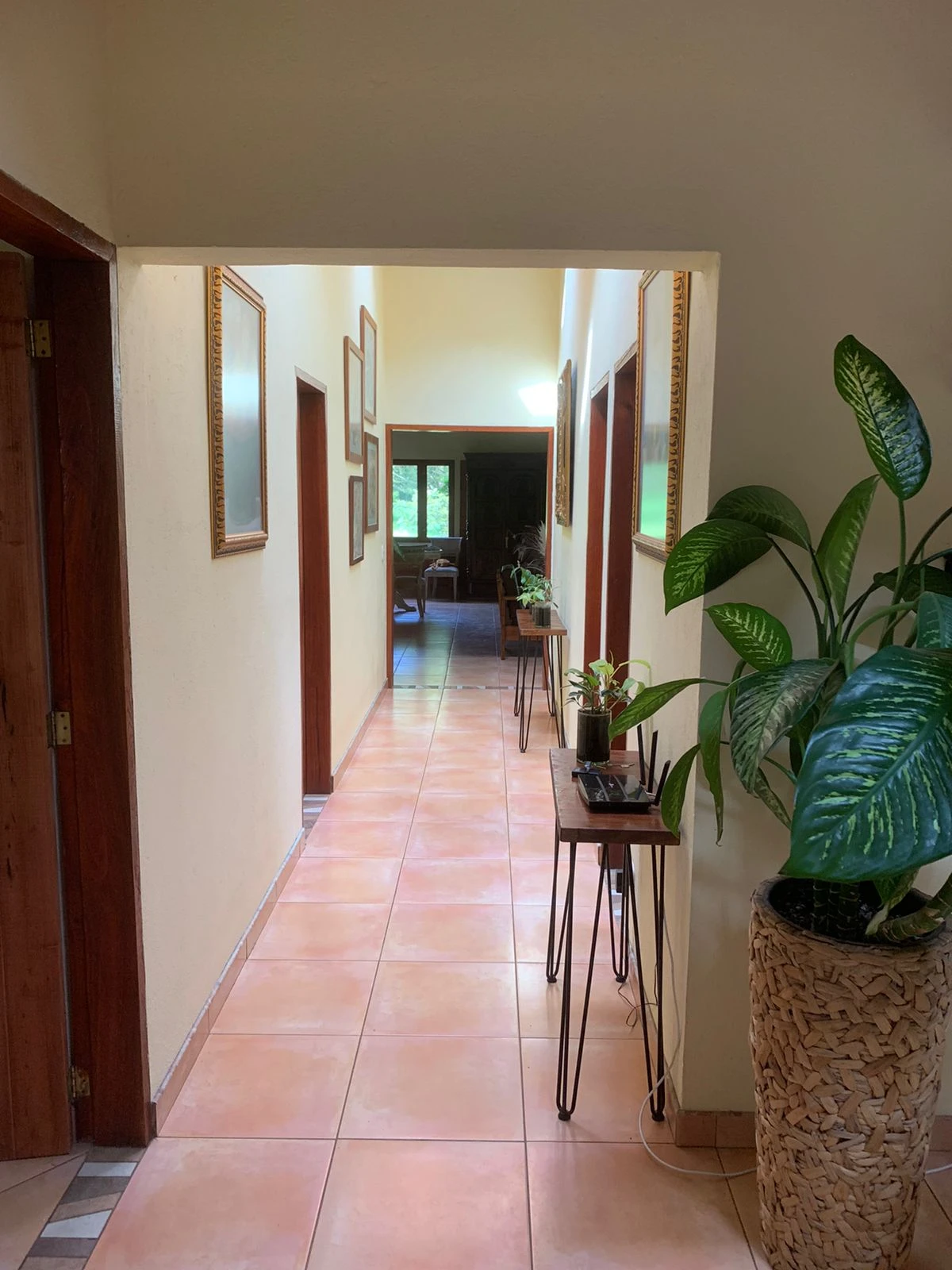 Finca en venta en vereda en chuscal- don diego 