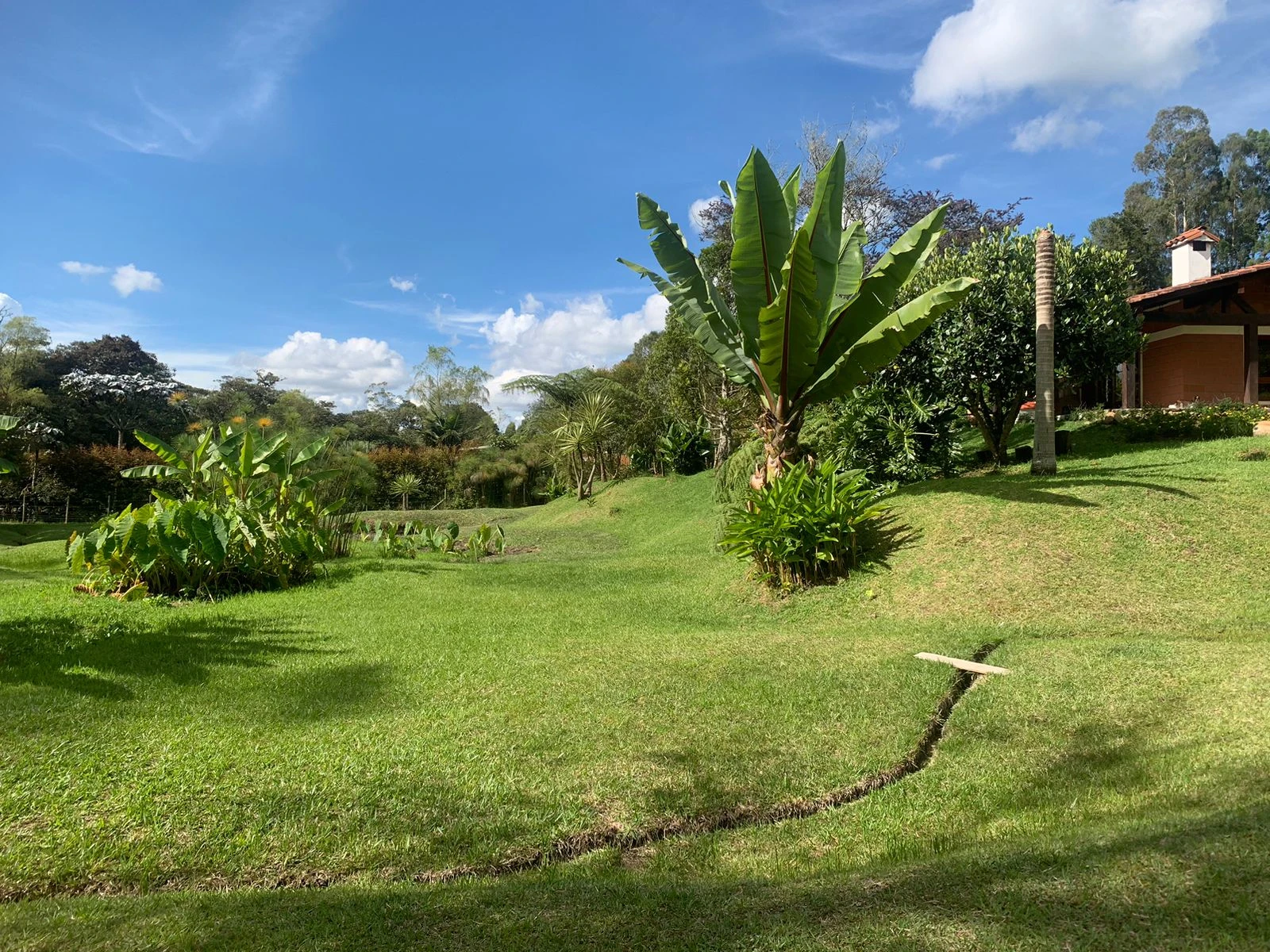 Finca en venta en vereda en chuscal- don diego 