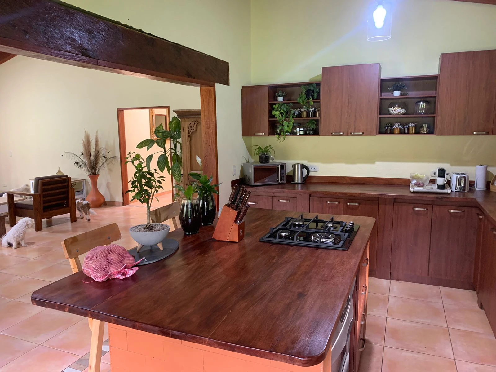 Finca en venta en vereda en chuscal- don diego 