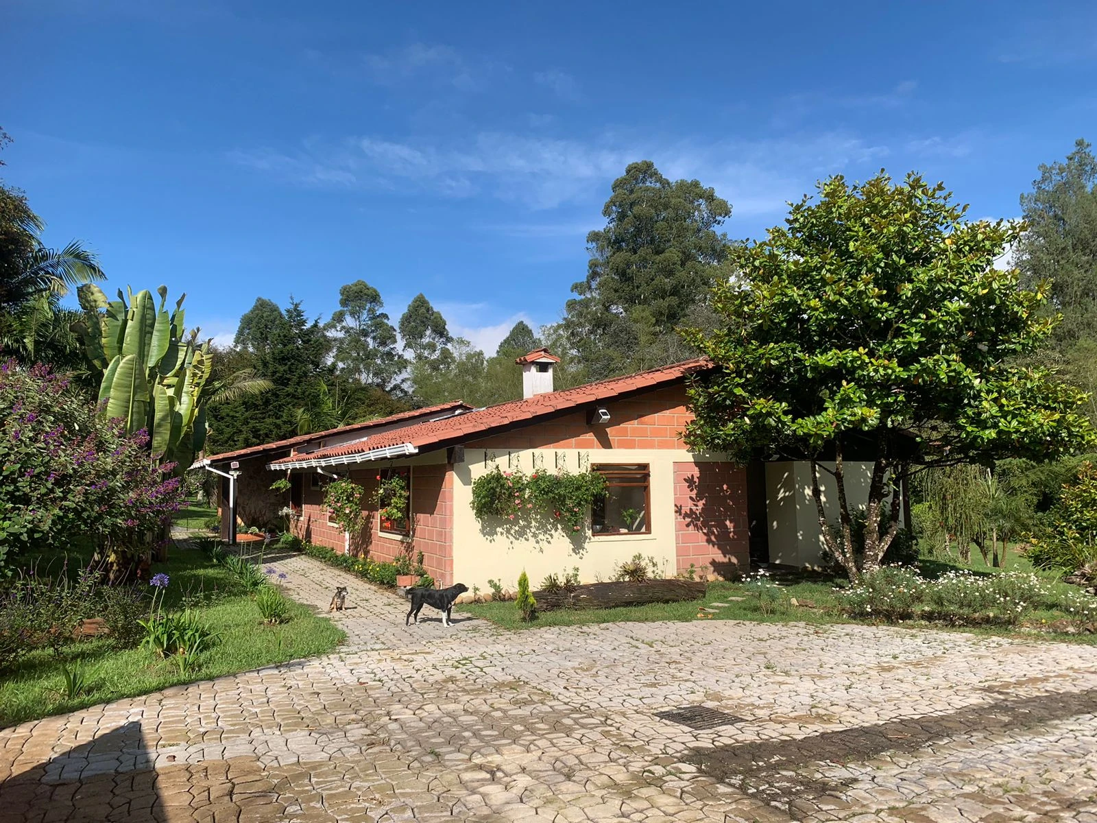 Finca en venta en vereda en chuscal- don diego 