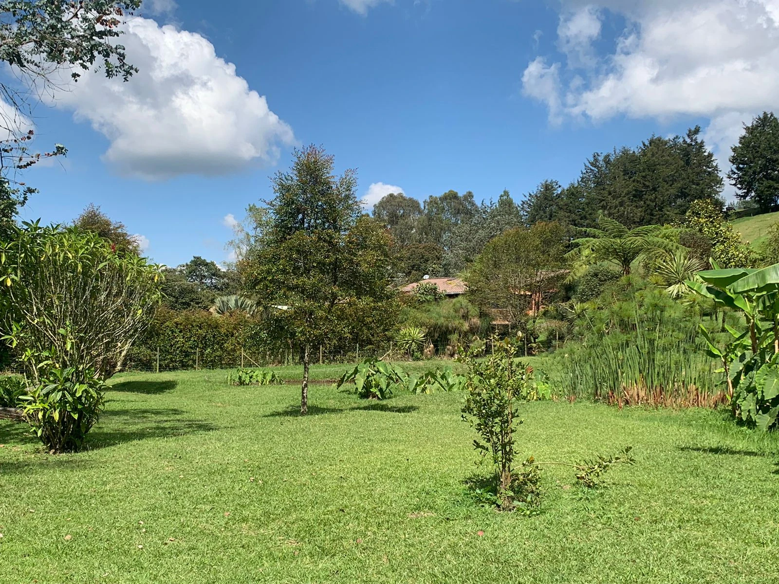 Finca en venta en vereda en chuscal- don diego 