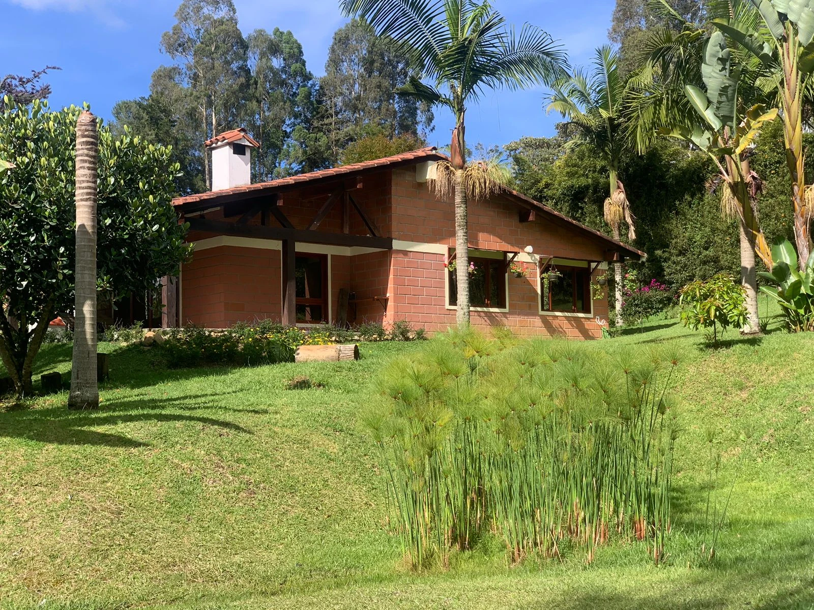 Finca en venta en vereda en chuscal- don diego 