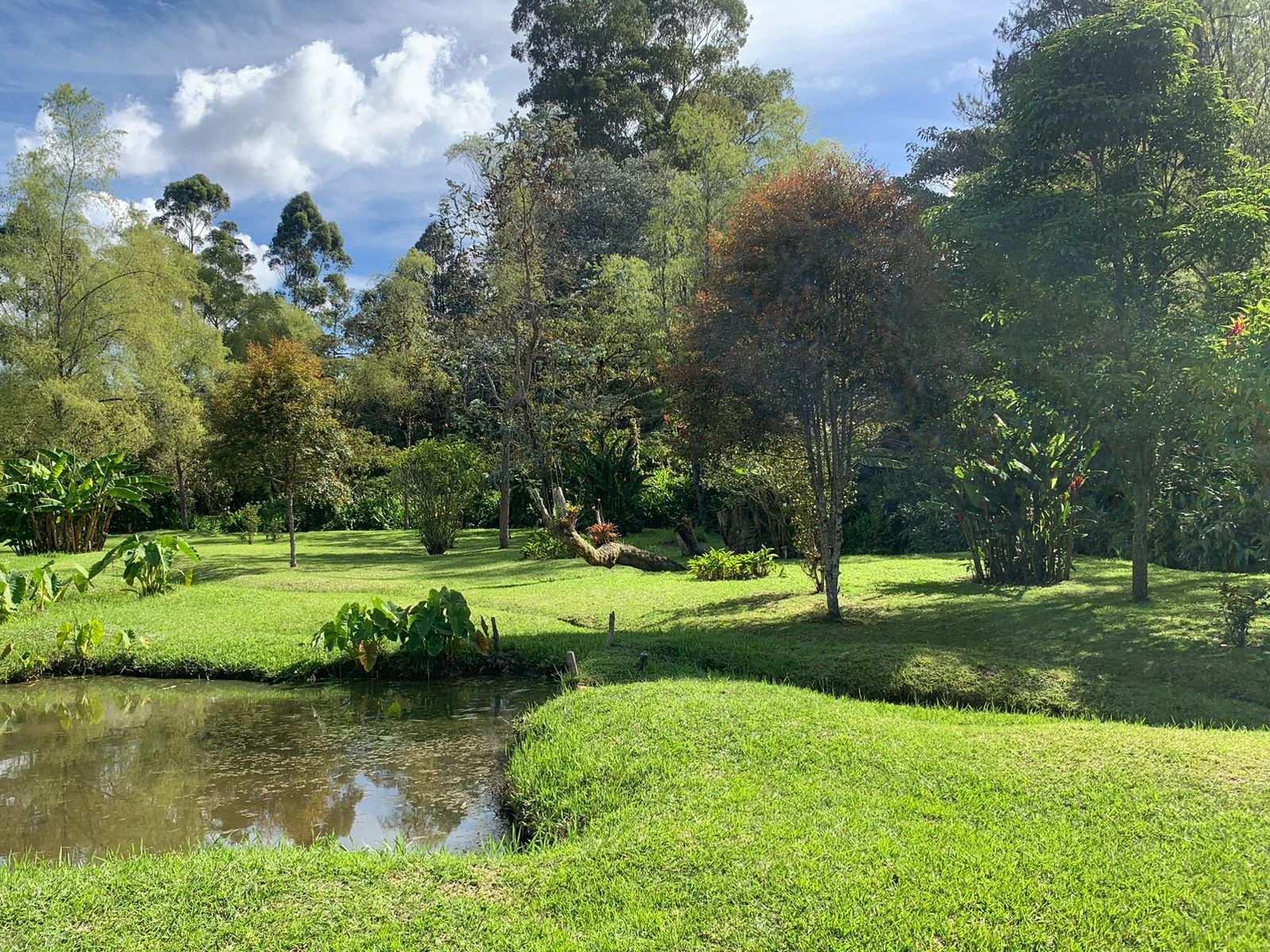 Finca en venta en vereda en chuscal- don diego 