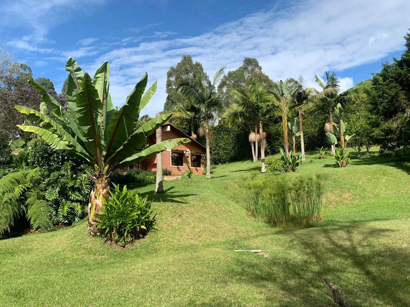 Finca en venta en vereda en chuscal- don diego 