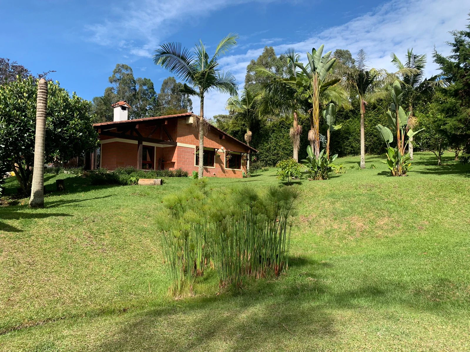 Finca en venta en vereda en chuscal- don diego 