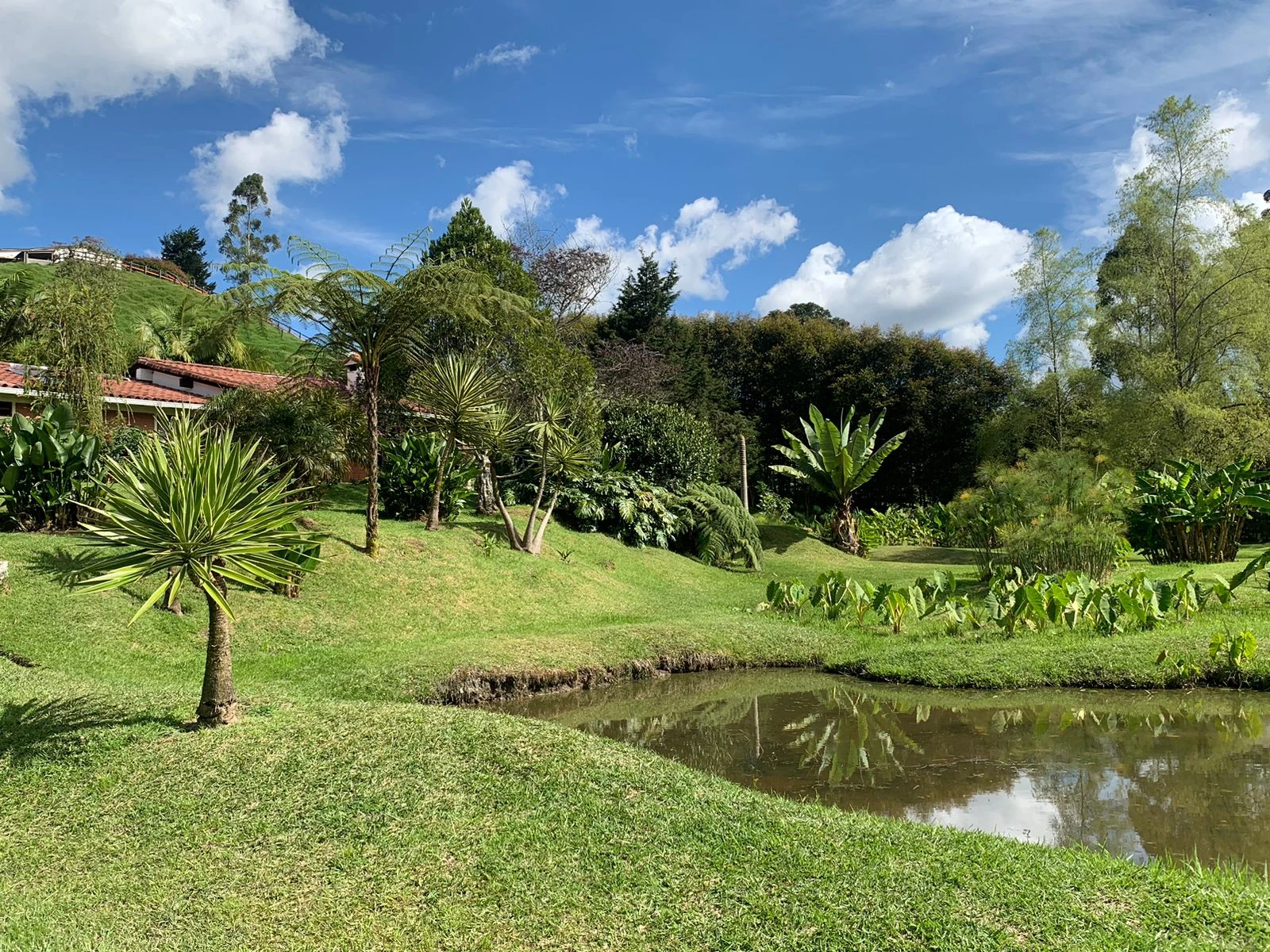 Finca en venta en vereda en chuscal- don diego 