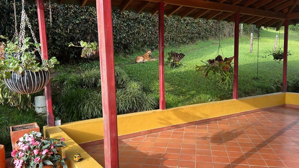 CASA LOTE EN VENTA Y ARRIENDO GUARNE - SAN JOSE 