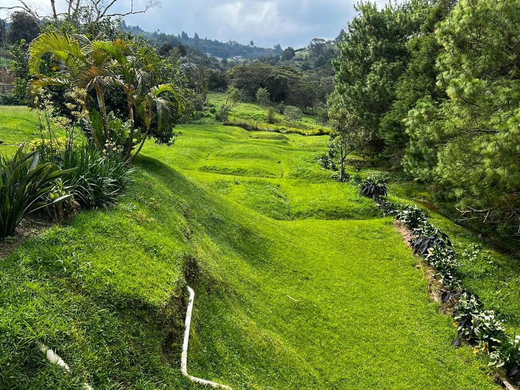 CASA LOTE EN VENTA Y ARRIENDO GUARNE - SAN JOSE 