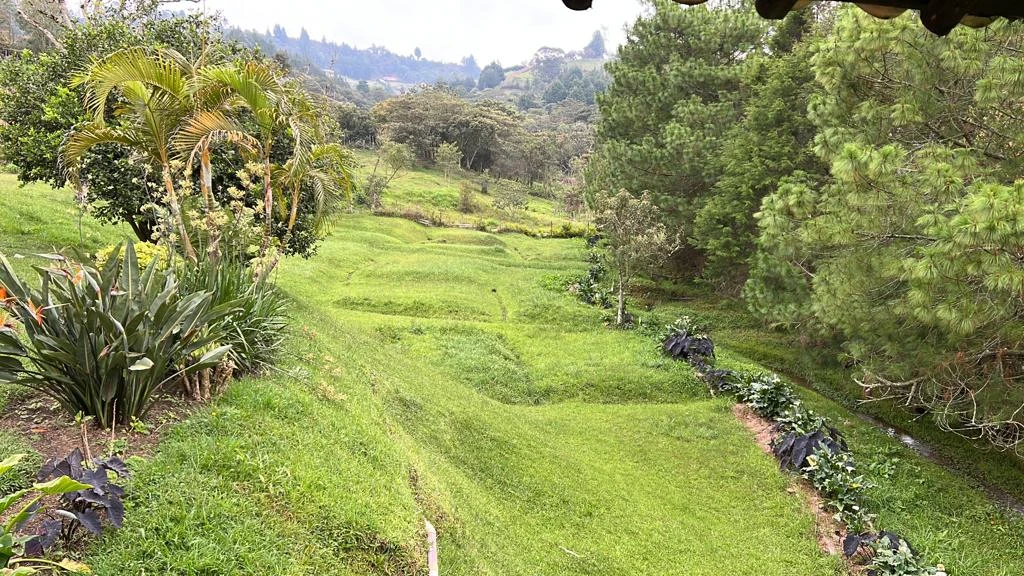 CASA LOTE EN VENTA Y ARRIENDO GUARNE - SAN JOSE 