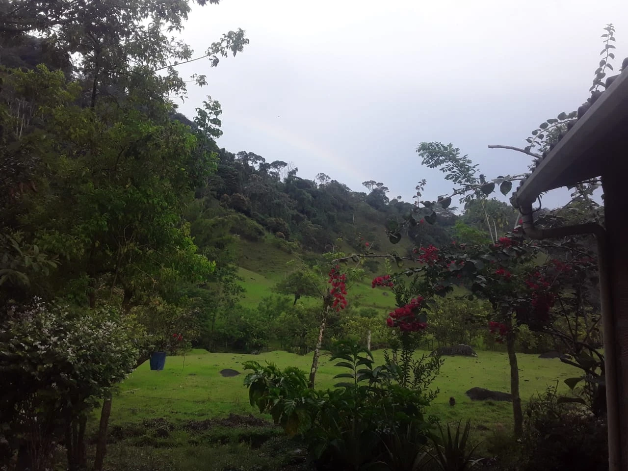 Finca Comercial en Venta Nariño Antioquia 
