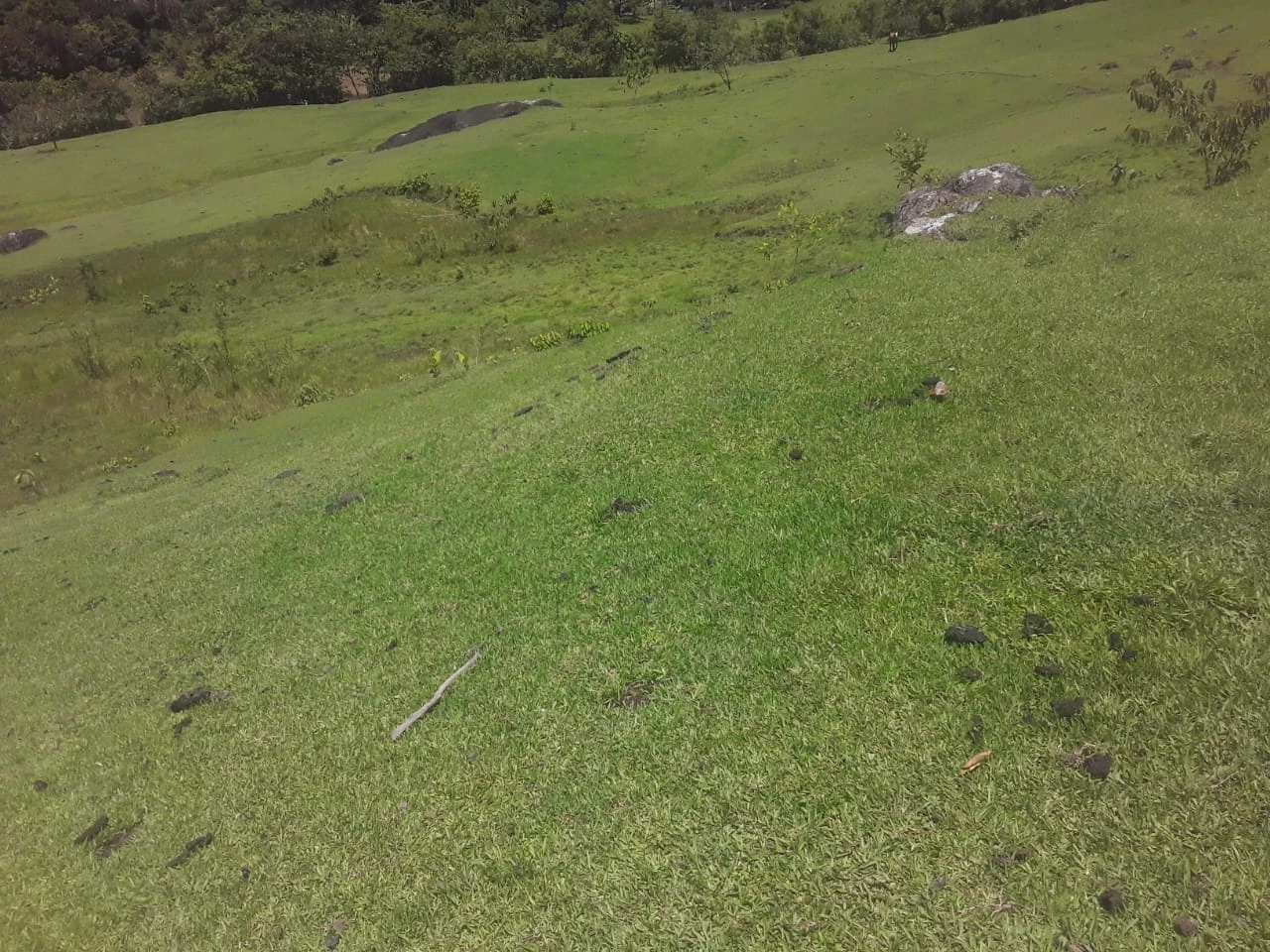 Finca Comercial en Venta Nariño Antioquia 
