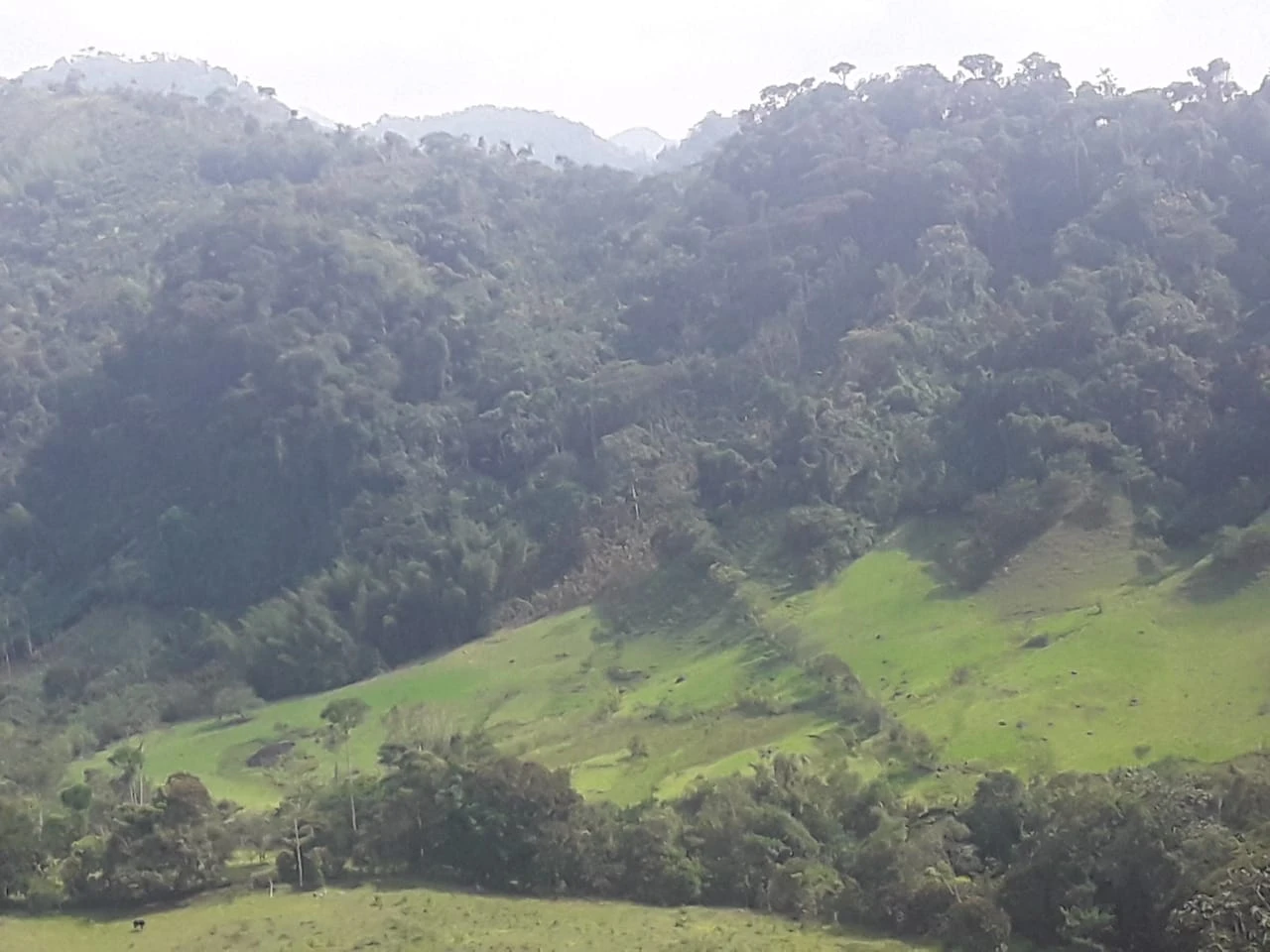 Finca Comercial en Venta Nariño Antioquia 