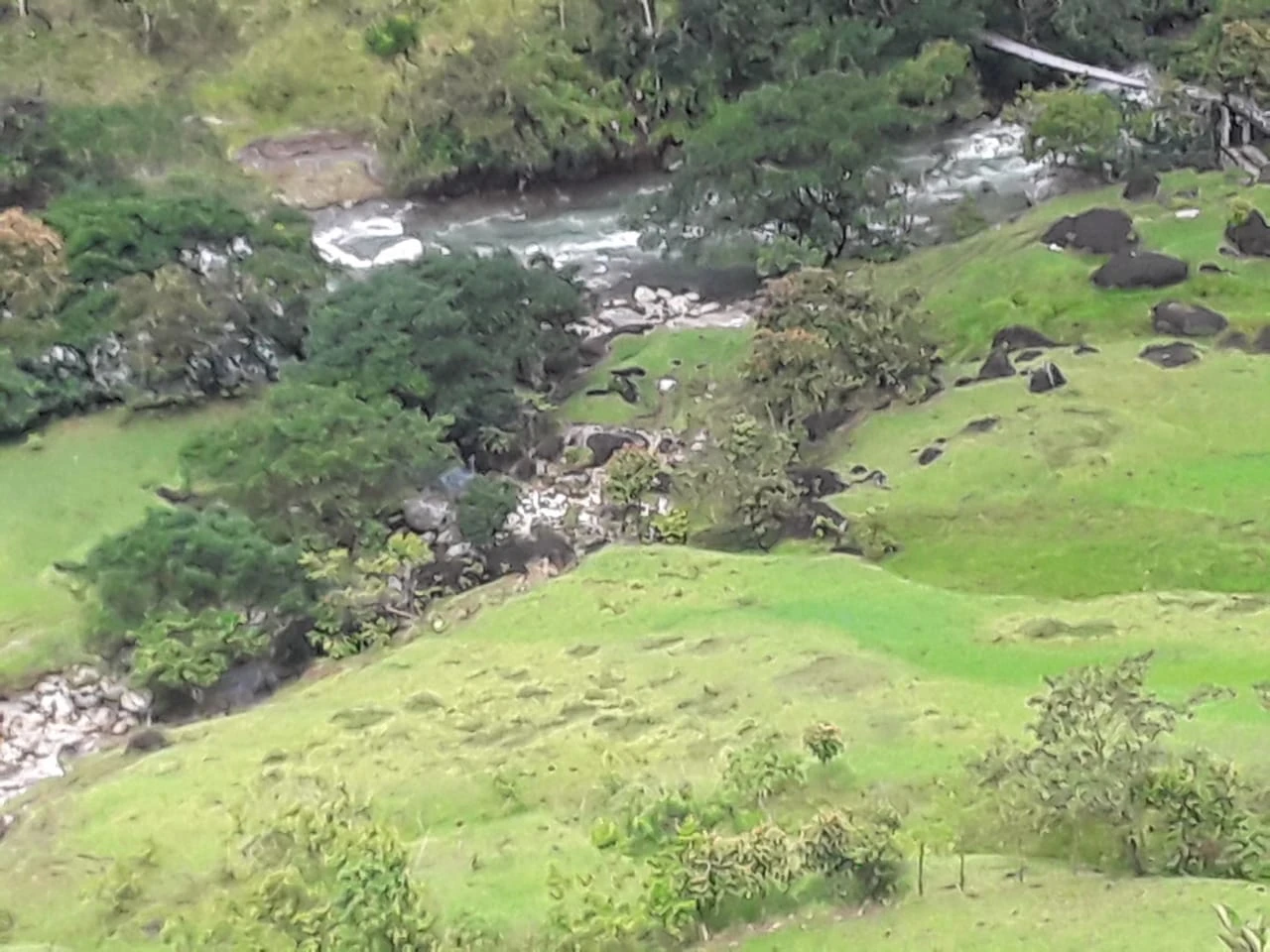 Finca Comercial en Venta Nariño Antioquia 