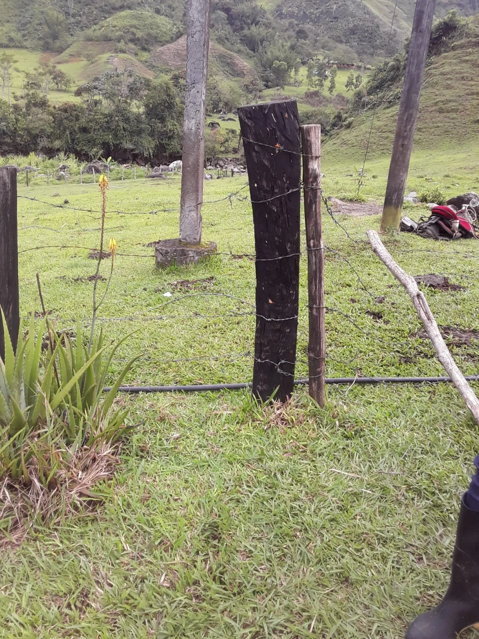 Finca Comercial en Venta Nariño Antioquia 