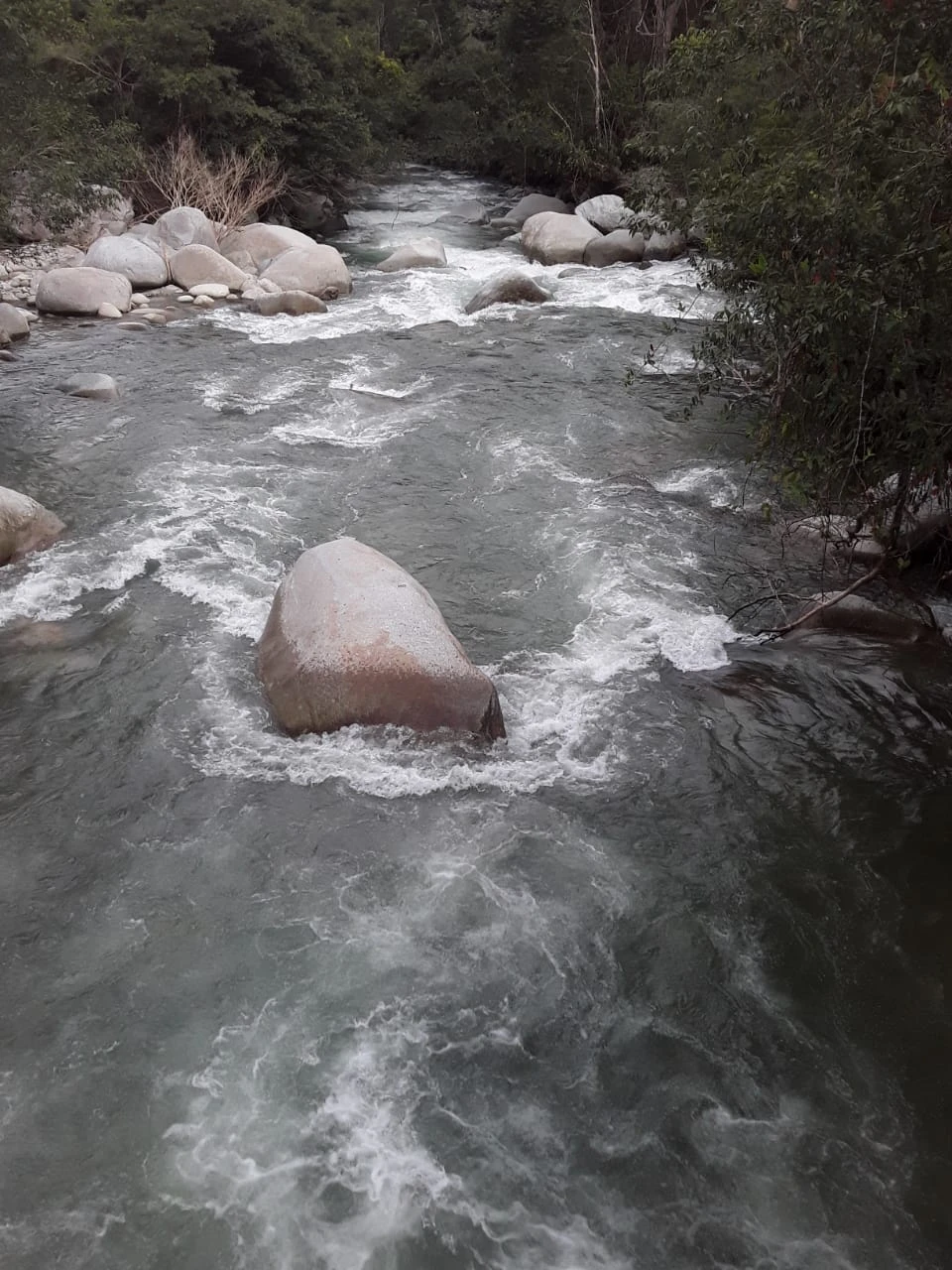 Finca Comercial en Venta Nariño Antioquia 