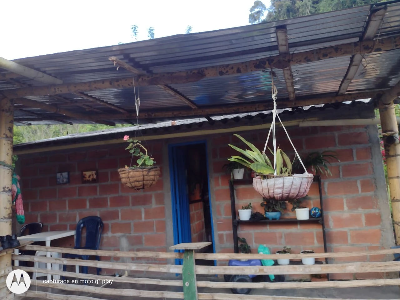 Finca Comercial en Venta Nariño Antioquia 