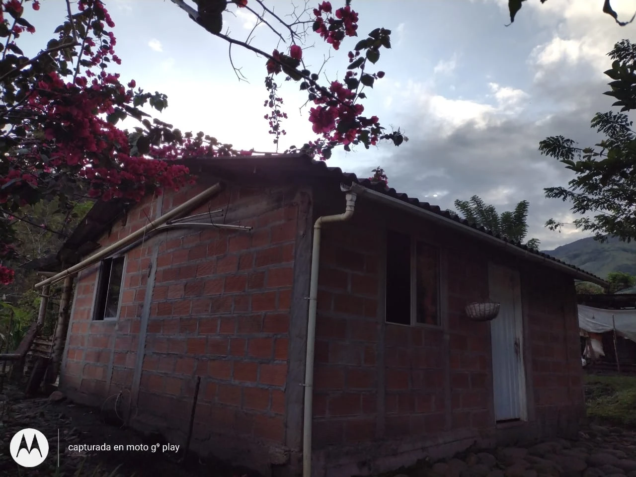 Finca Comercial en Venta Nariño Antioquia 
