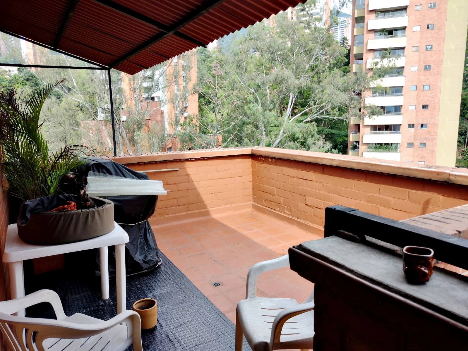 Apartamento en venta sector la Concha