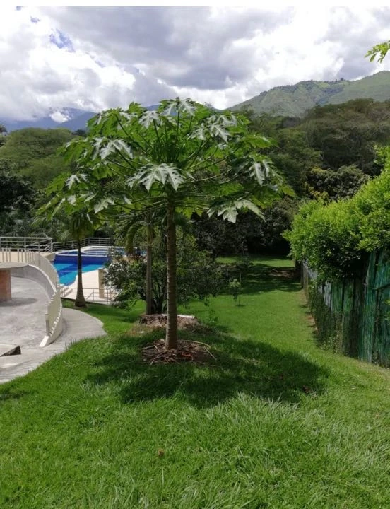 Finca en venta sector San Jerónimo
