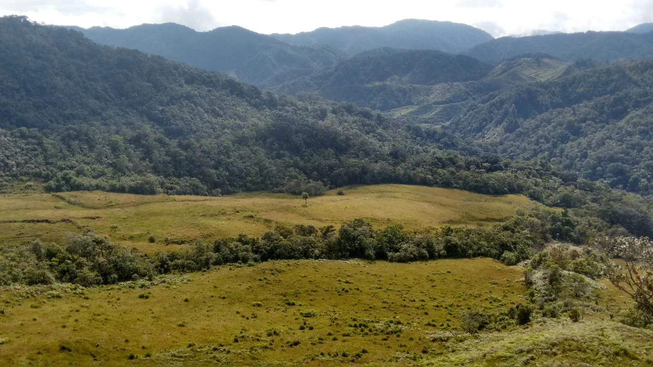 Lote en Venta en el Carmen de Viboral 