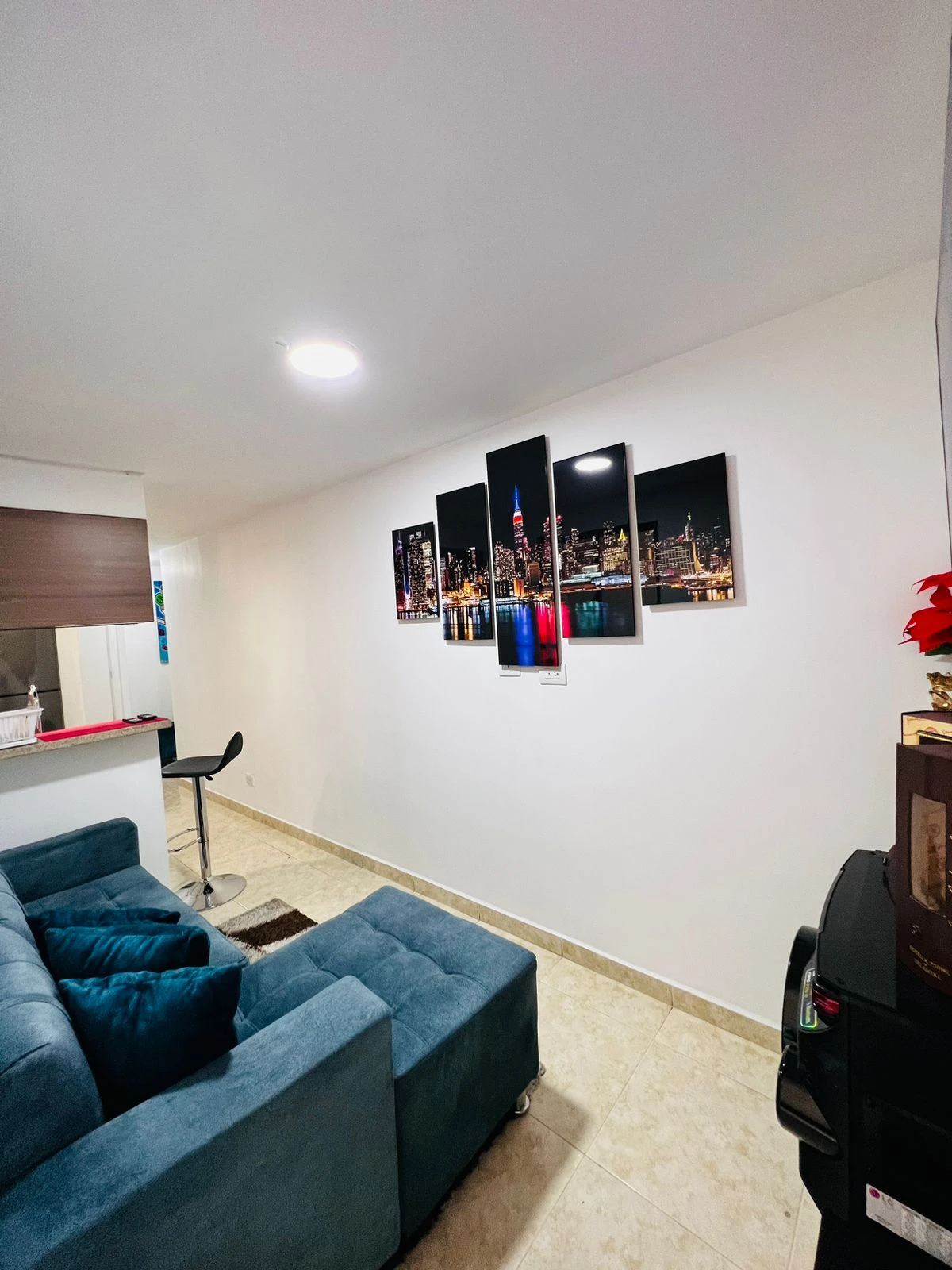 Apartamento en Arriendo  Sector Centro