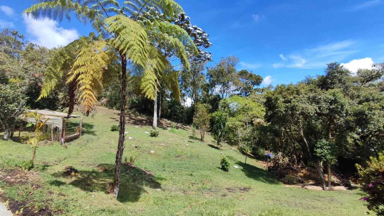 Casa campestre en arriendo -Vía la ceja- La Unión 