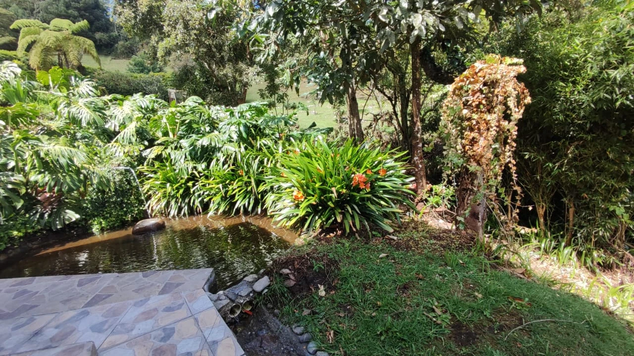 Casa campestre en arriendo -Vía la ceja- La Unión 