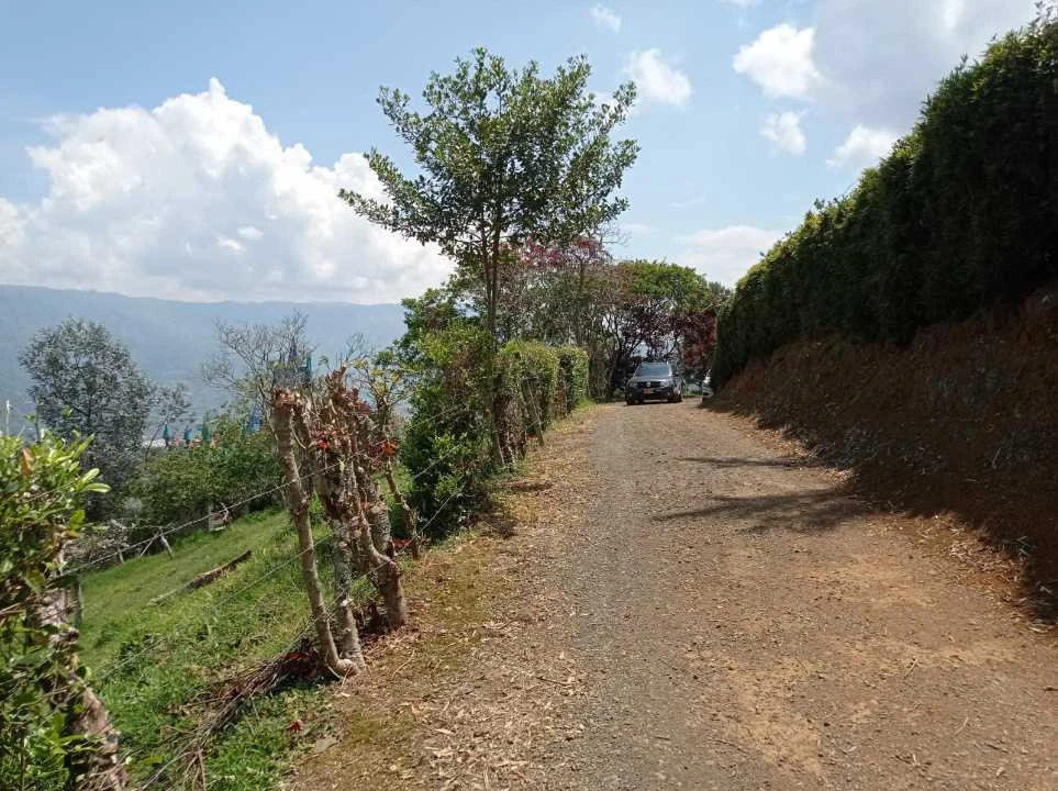 Se vende lote área de 2.600 m2*
- Municipio de Girardota
- Vereda Mang