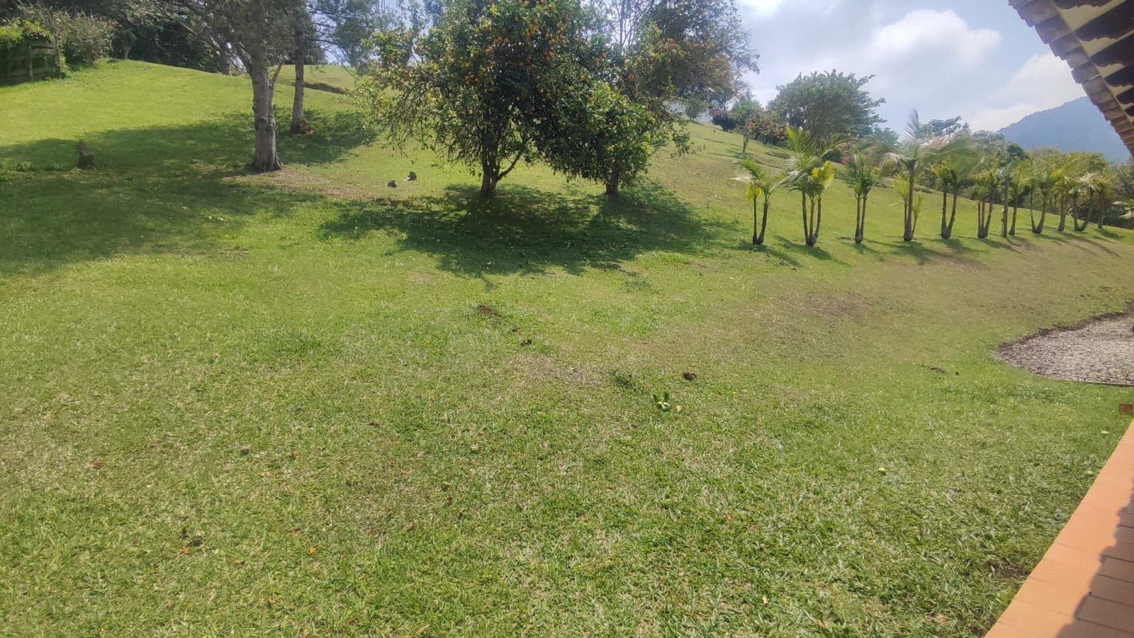 CASA LOTE EN ARRIENDO EN ELCARMEN DE VIBORAL - VEREDA CANADA