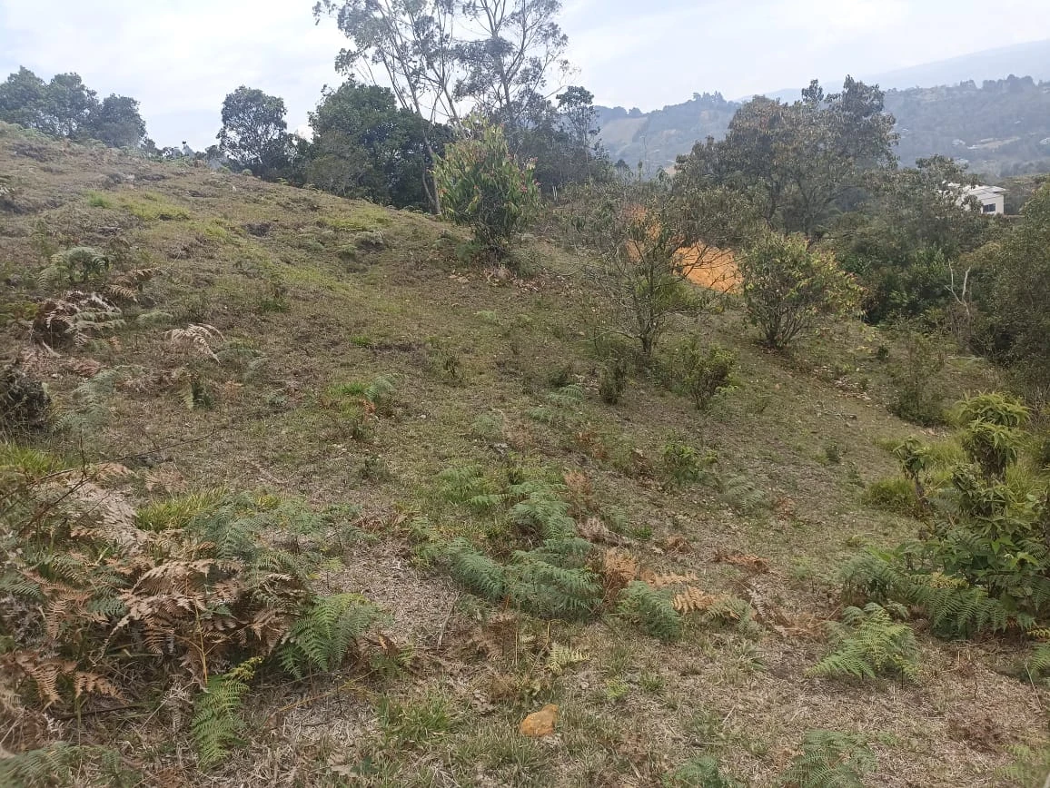 Lote en venta en Rionegro- Sajonia 