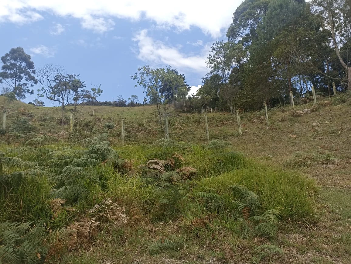 Lote en venta en Rionegro- Sajonia 