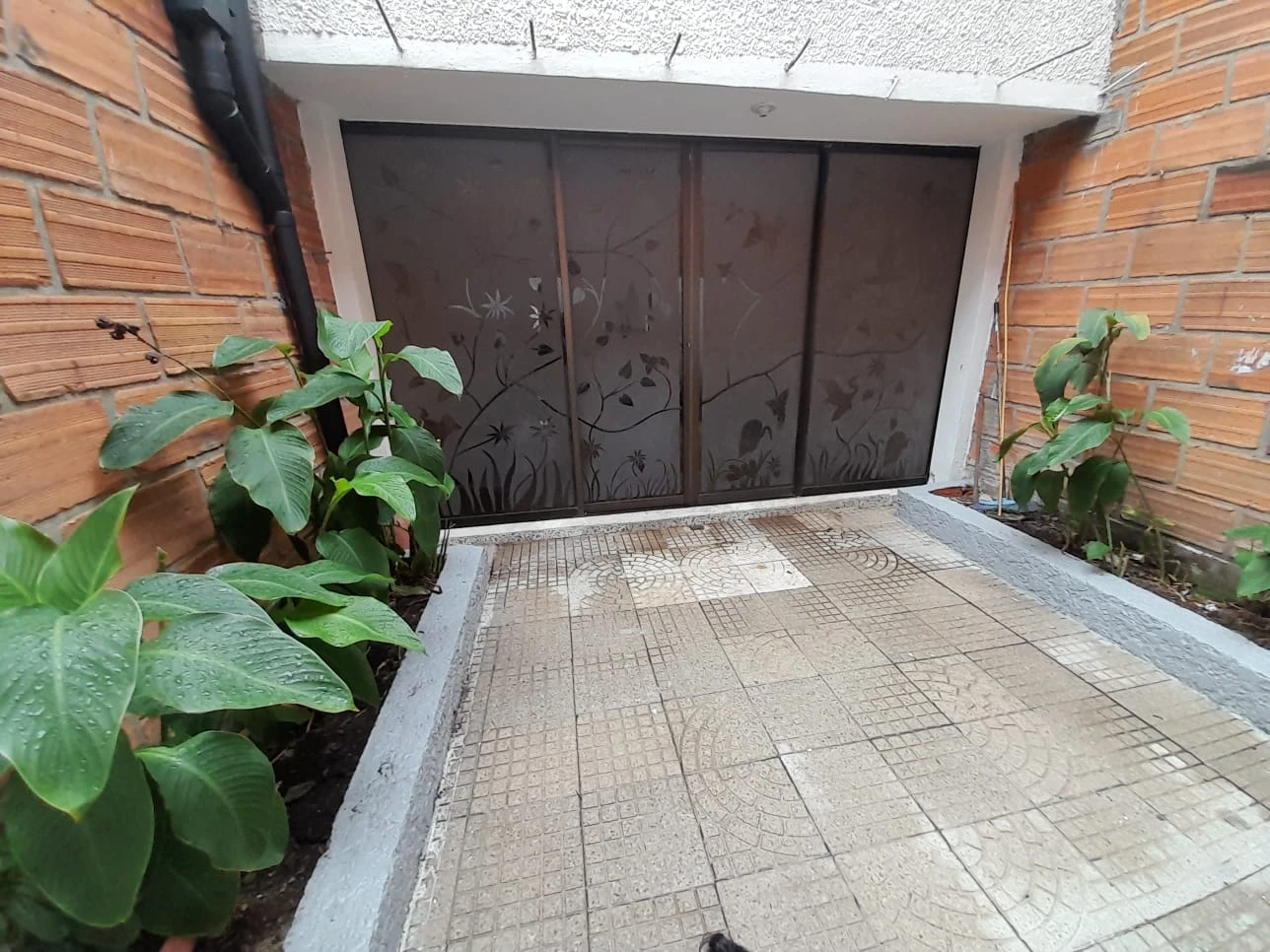 Apartamento en Arriendo Sector Santa Mónica