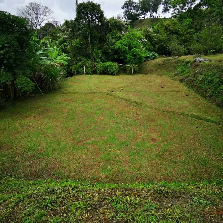Finca de recreo en Venta Popalito Barbosa