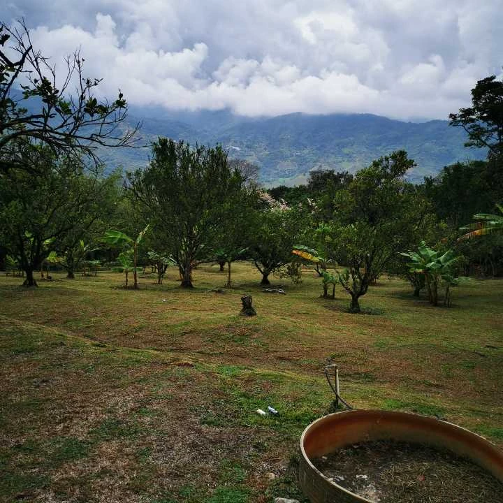 Finca de recreo en Venta Popalito Barbosa