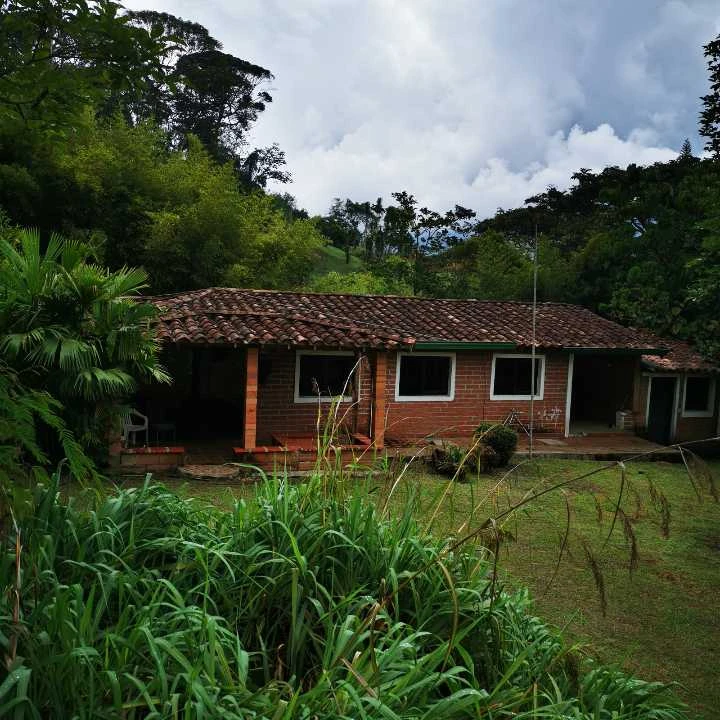 Finca de recreo en Venta Popalito Barbosa