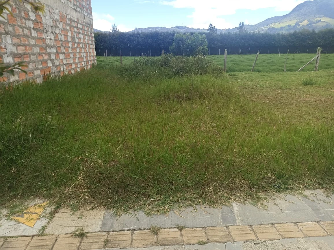 Lote en venta en La Ceja 