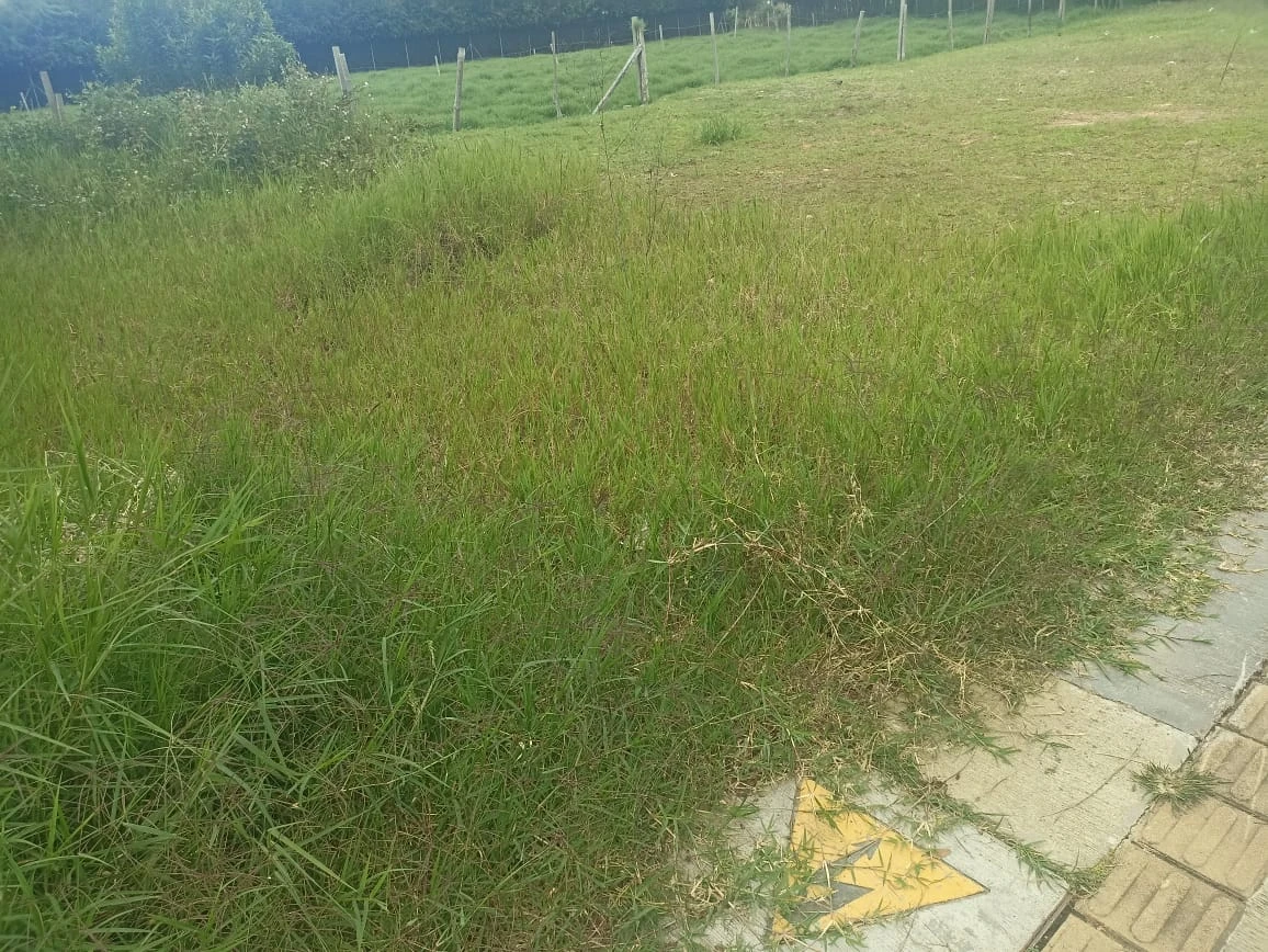 Lote en venta en La Ceja 